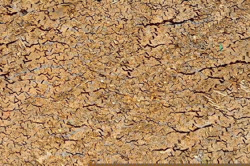 An image of a dry ground in Israel.