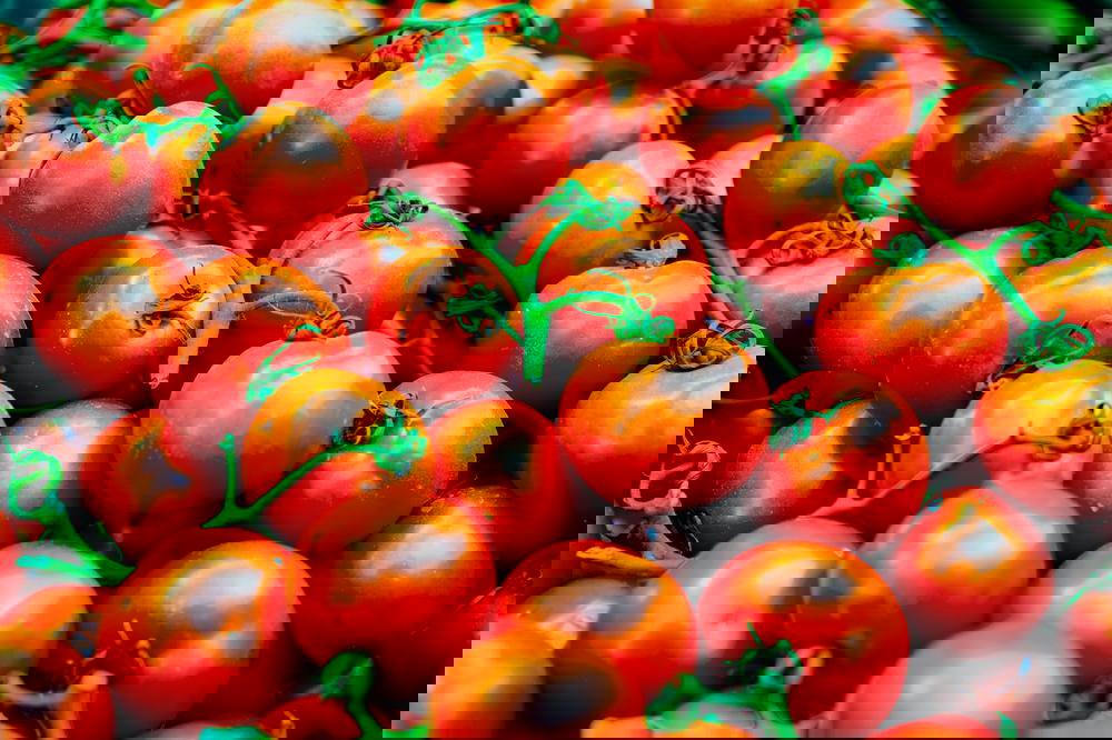 Tomatoes for sale in the shuk jerusalem israel