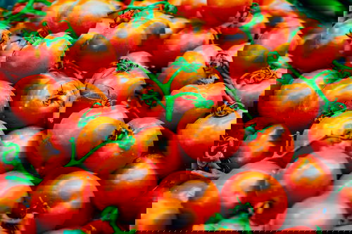 A pile of red tomatoes from Israel.