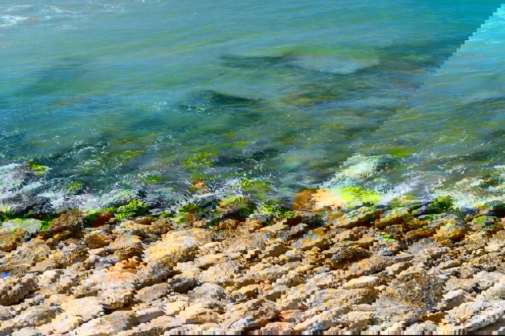 Blue and green ocean waters tel aviv gordon beach israel