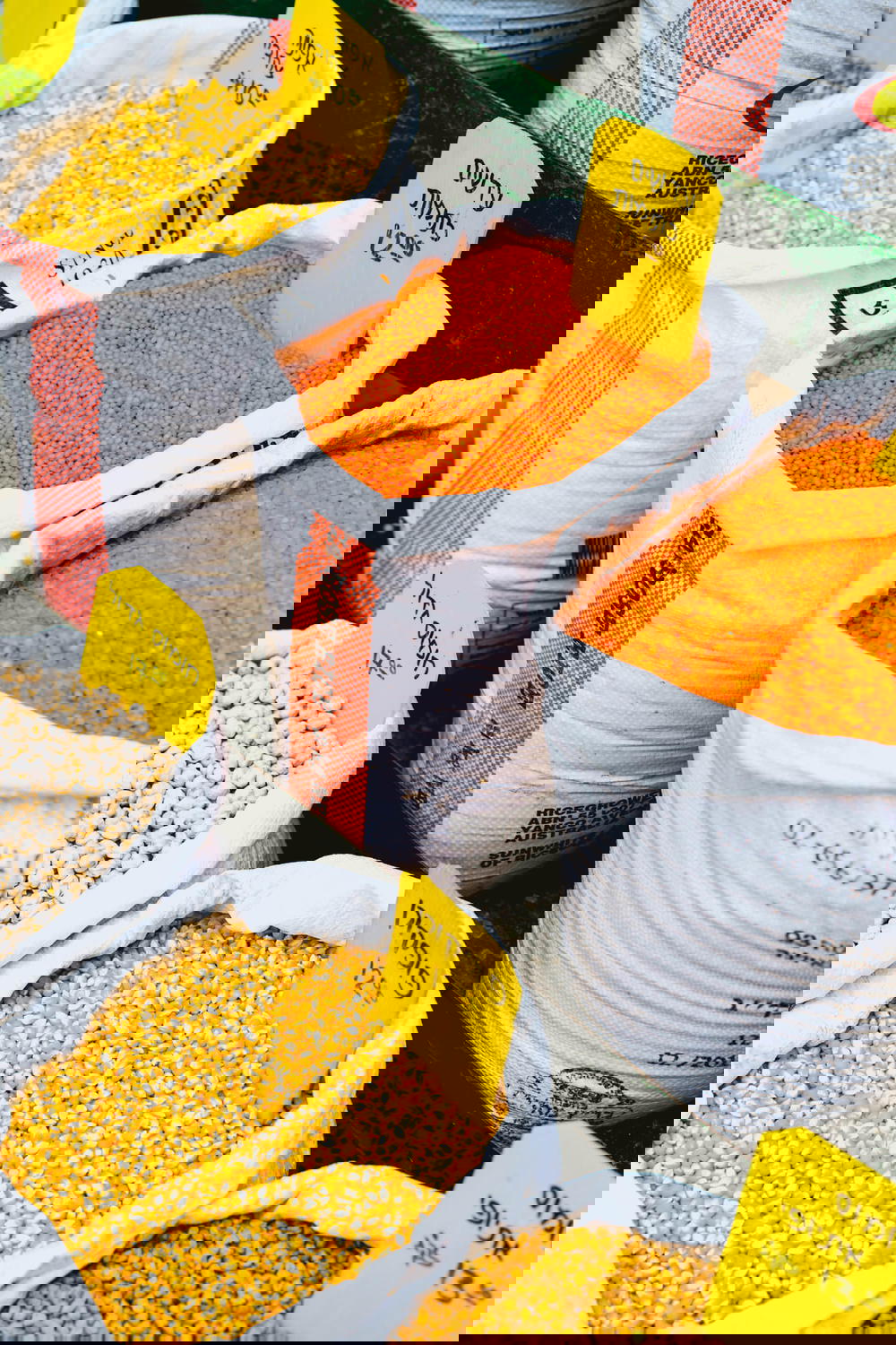 A variety of seed-filled bags from Israel.