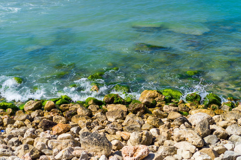 Waves in the Mediterannean Sea on Tel Aviv beaches