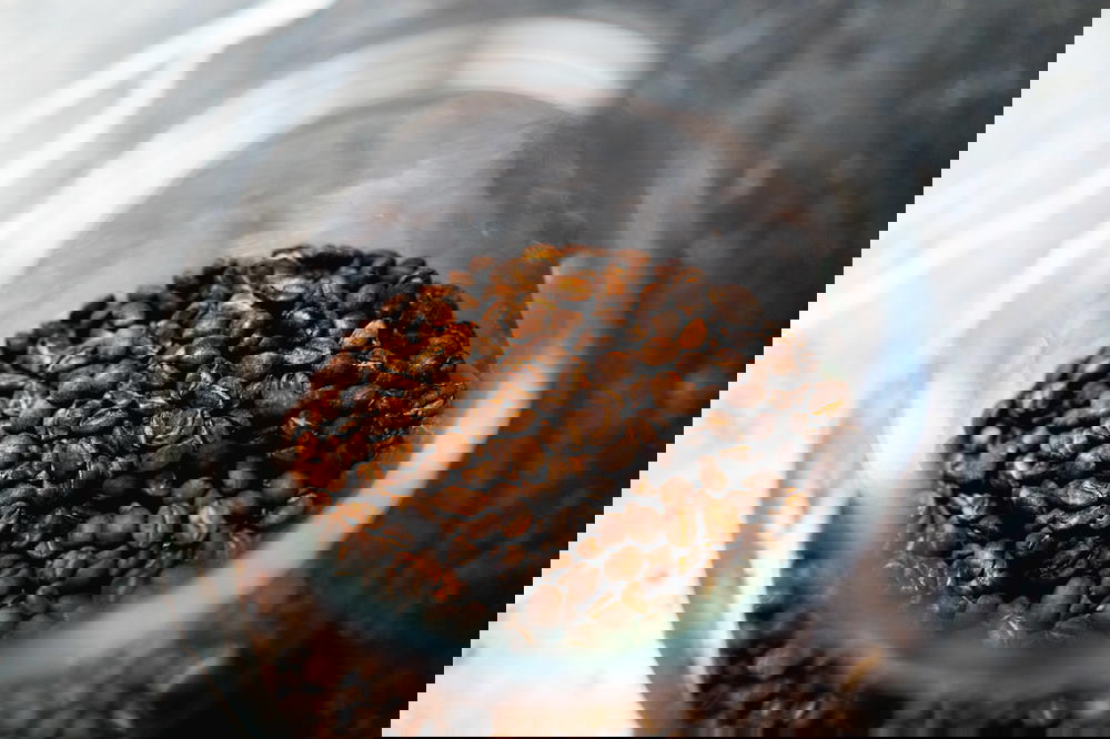 Mexican coffee beans stored in a glass jar on a table.