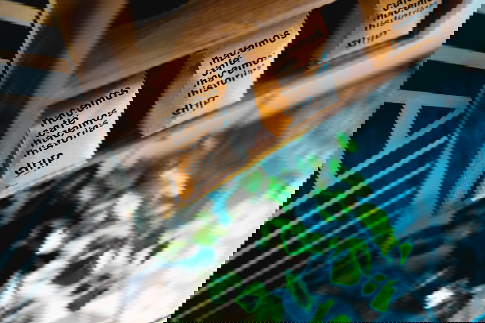 Coffee bags on a shelf in Mexico.