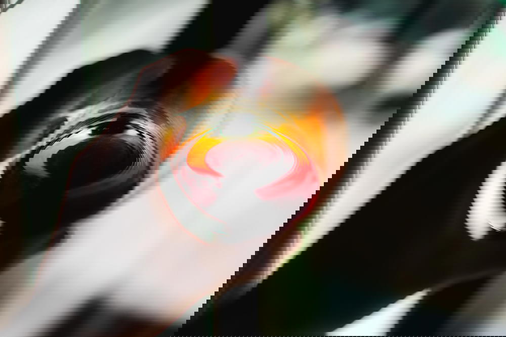 A person holding a glass of wine in front of a window in Mexico.