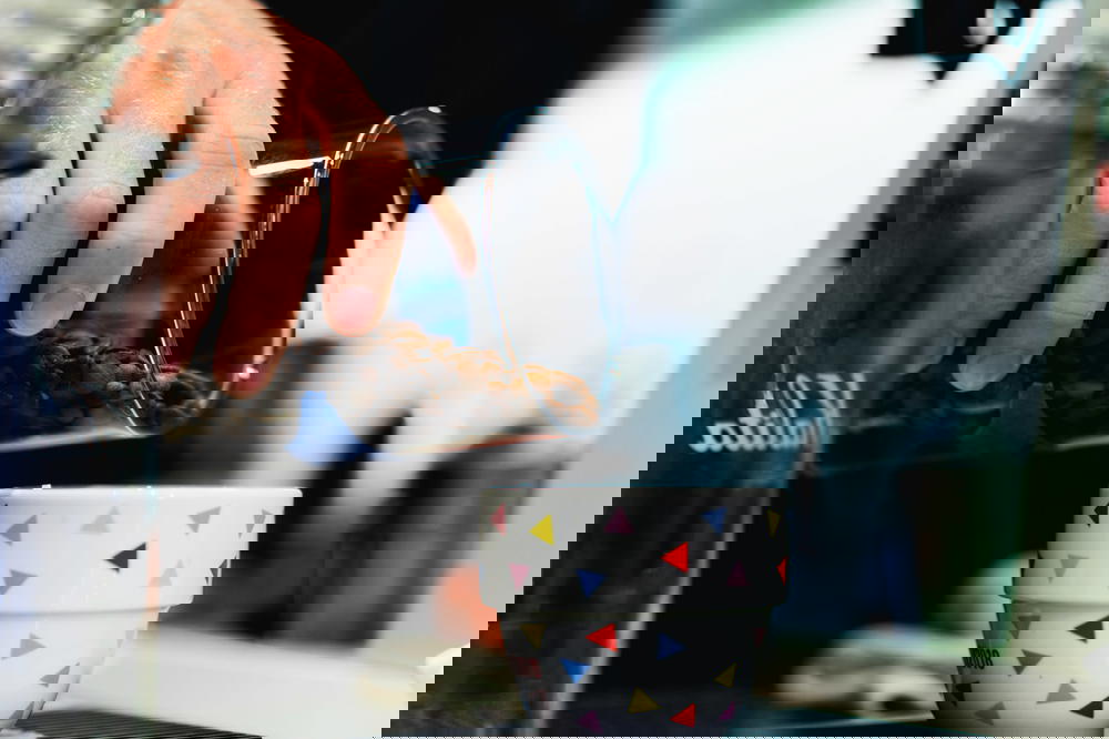 A person pouring Mexican coffee into a cup.