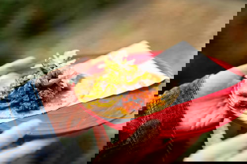 Nopal taco on a corn tortilla with a white paper sheet on a red plastic plate in Mexico City