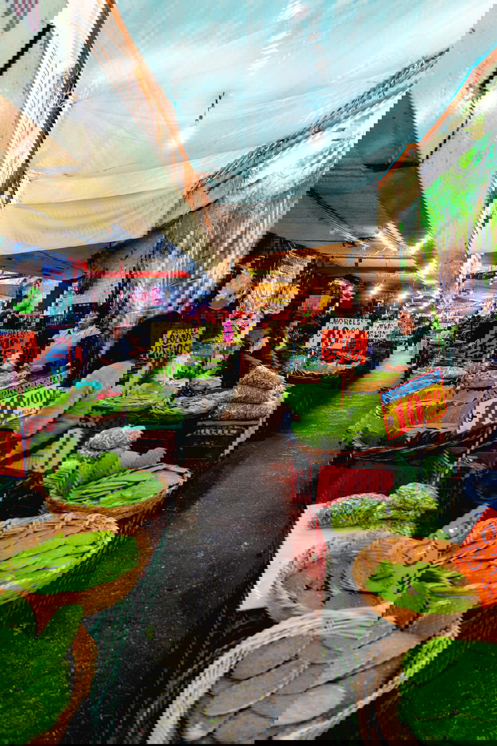 Rows of vendors selling fresh nopales for sale at a Mexico City market
