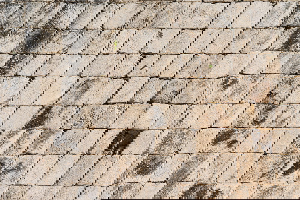 A stone wall in Mexico adorned with numerous bricks.