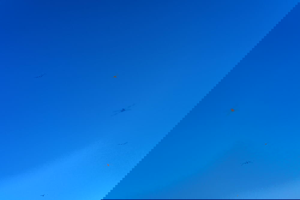 A group of kites flying in a blue sky in Mexico.