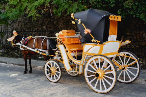 A horse pulling a carriage in Izamal, Mexico.