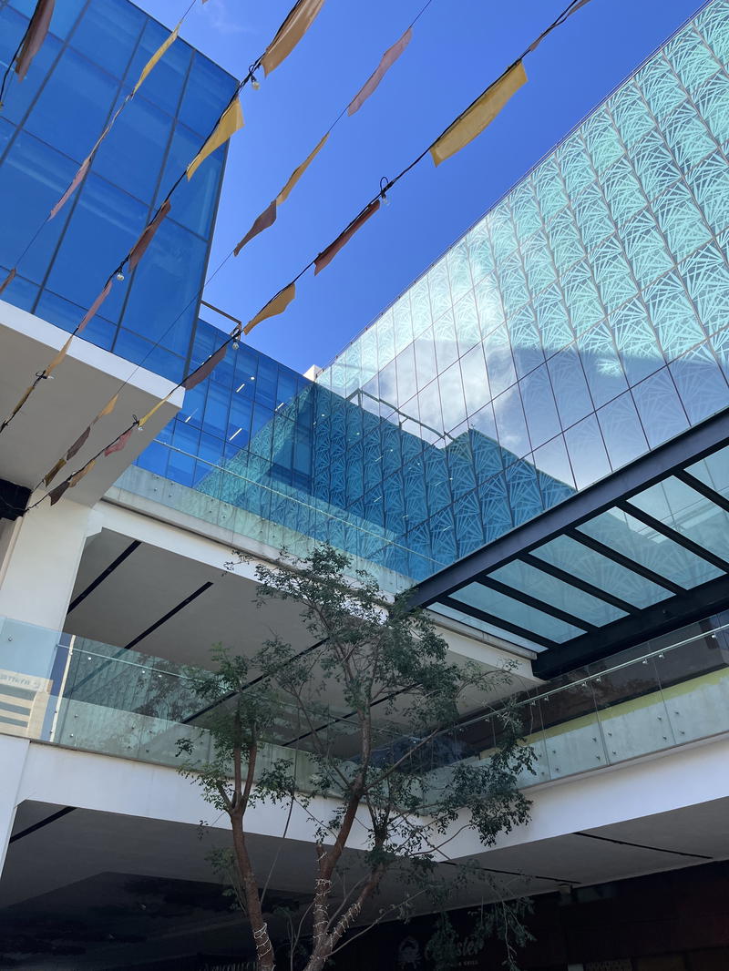 A glass building adorned with a tree in the courtyard, located in Mérida, Mexico.
