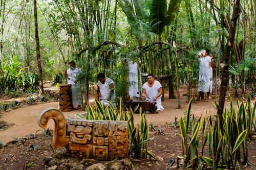 A group of people are sitting in a forest in Merida, Mexico.