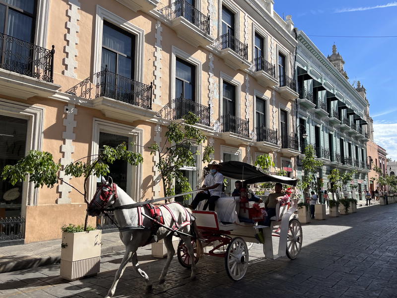 A carriage being pulled down the streets of Merida, Mexico by a horse.