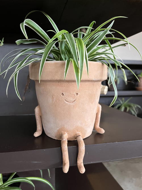 A potted plant with a smiley face on it in Merida, Mexico.