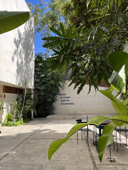 A Mexican courtyard in Merida adorned with plants, featuring a table and chairs.