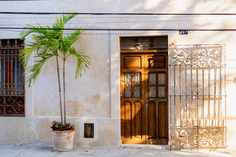 A palm tree-adorned wooden door in Merida, Mexico.