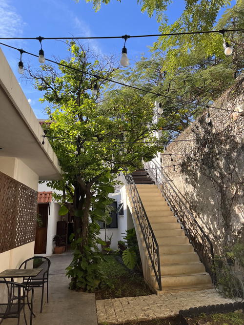 A courtyard in Merida, Mexico with a table and chairs and stairs leading up to a tree.
