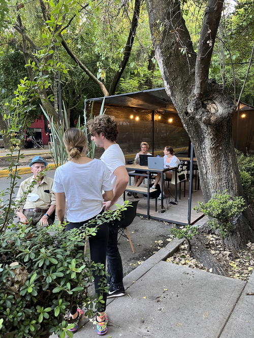 A group of people sitting around a table under a tree in Mexico City.
