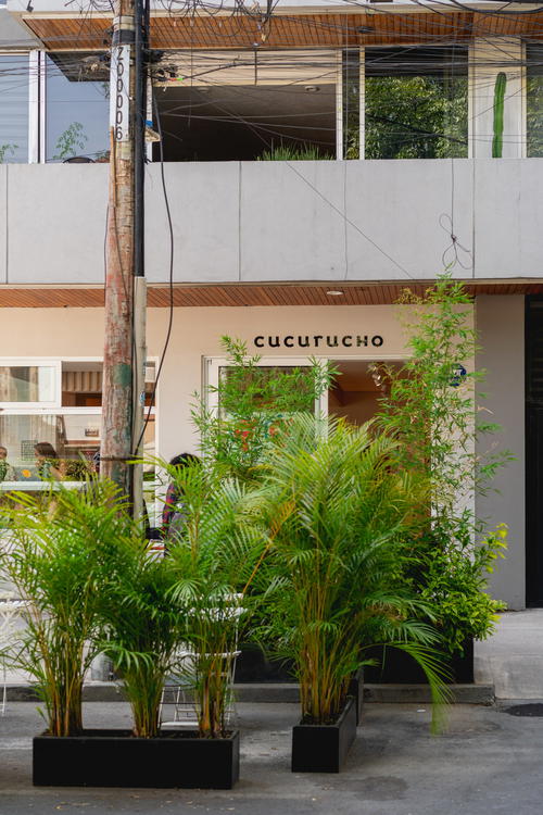 the planters are green