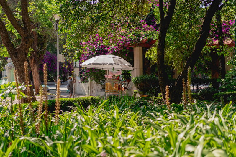 a woman sitting under an umbrella in a garden