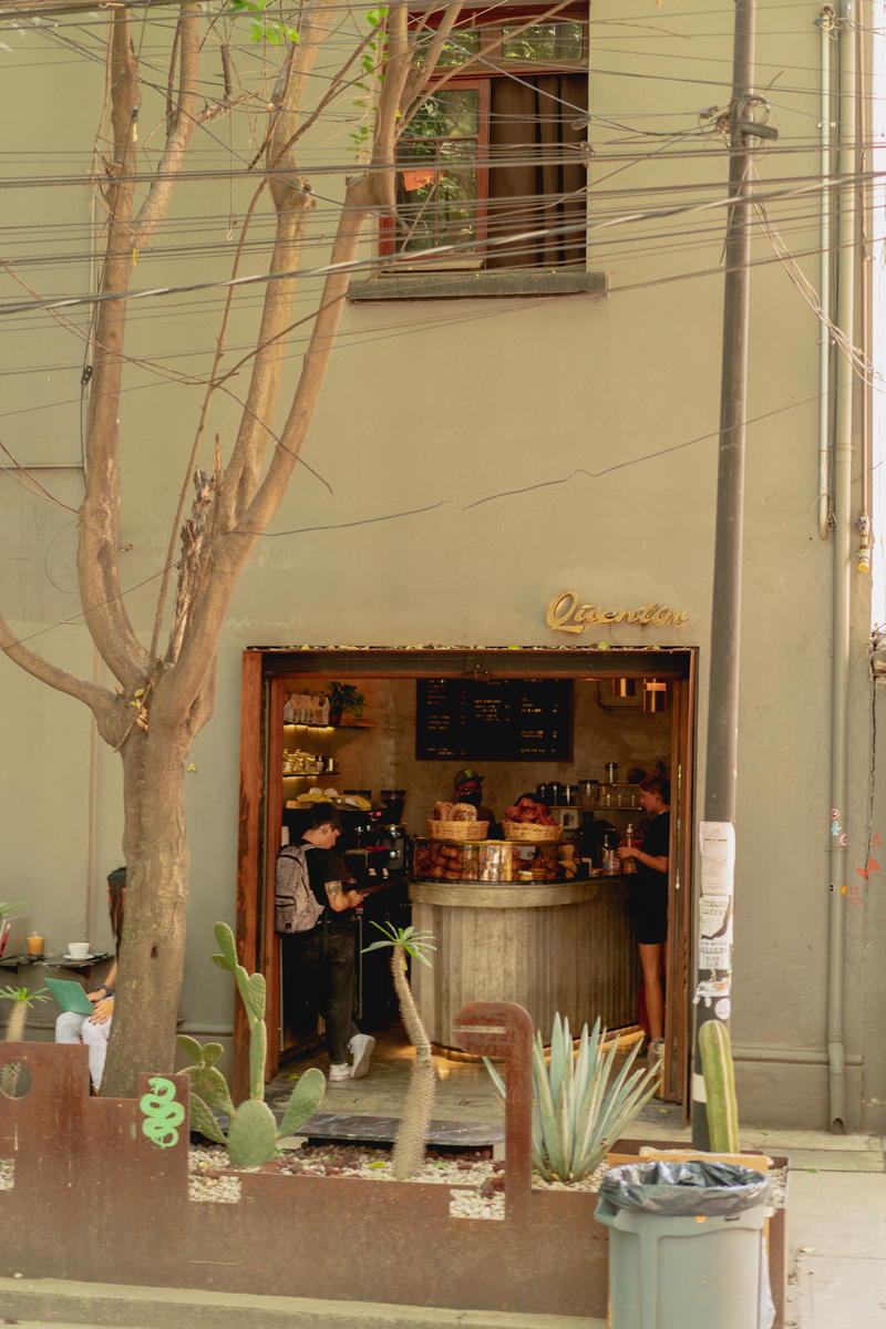 a tree with no leaves