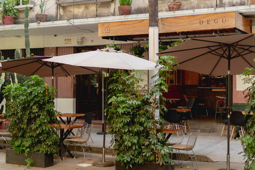 the umbrellas are open