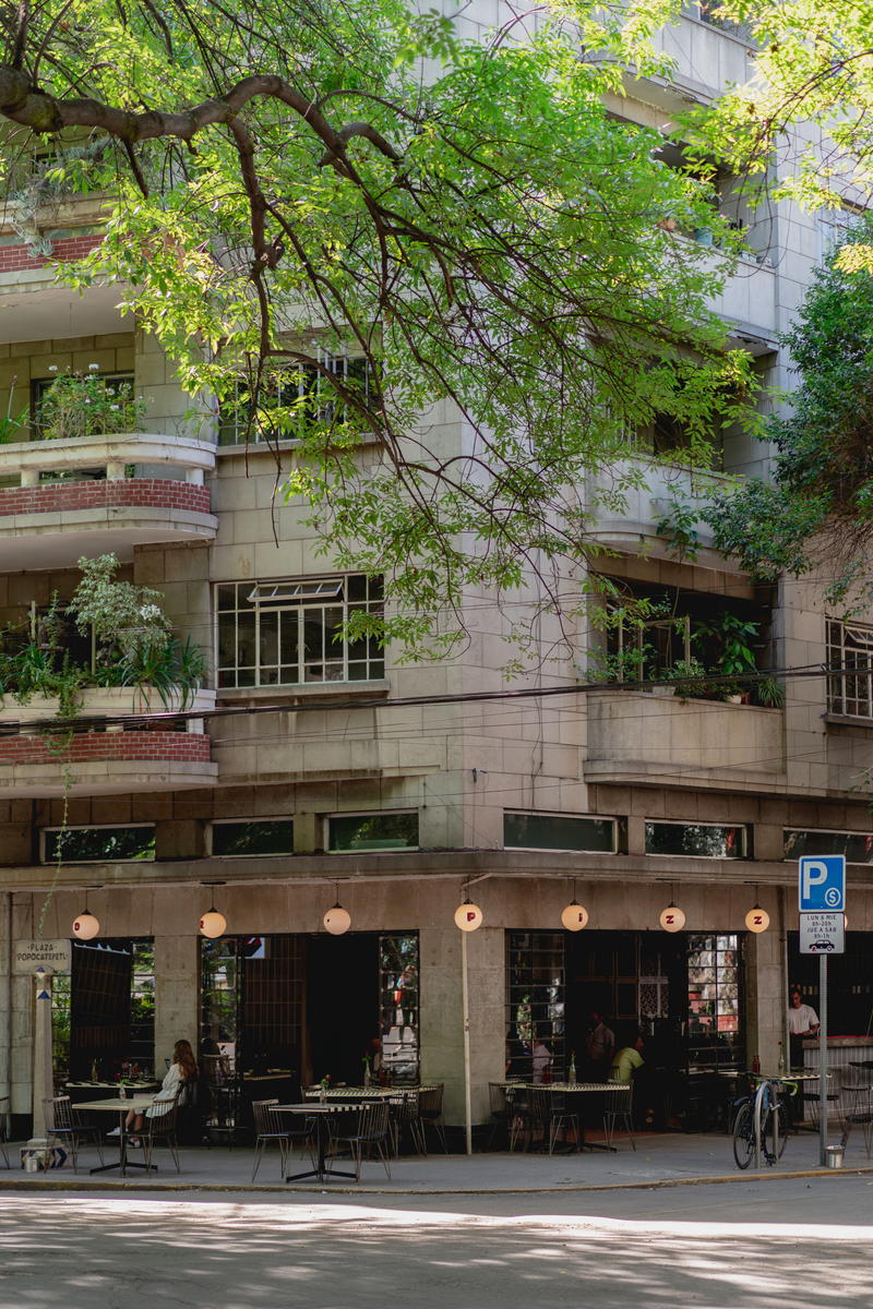 a large tree in front of a building