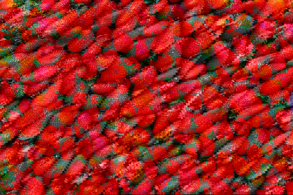 Piles of red strawberries with green leafy tops in a market