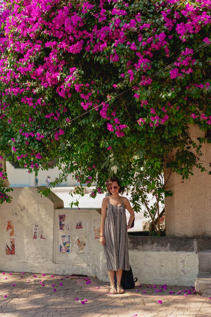 In Mexico City, a woman is standing under a flowering tree.