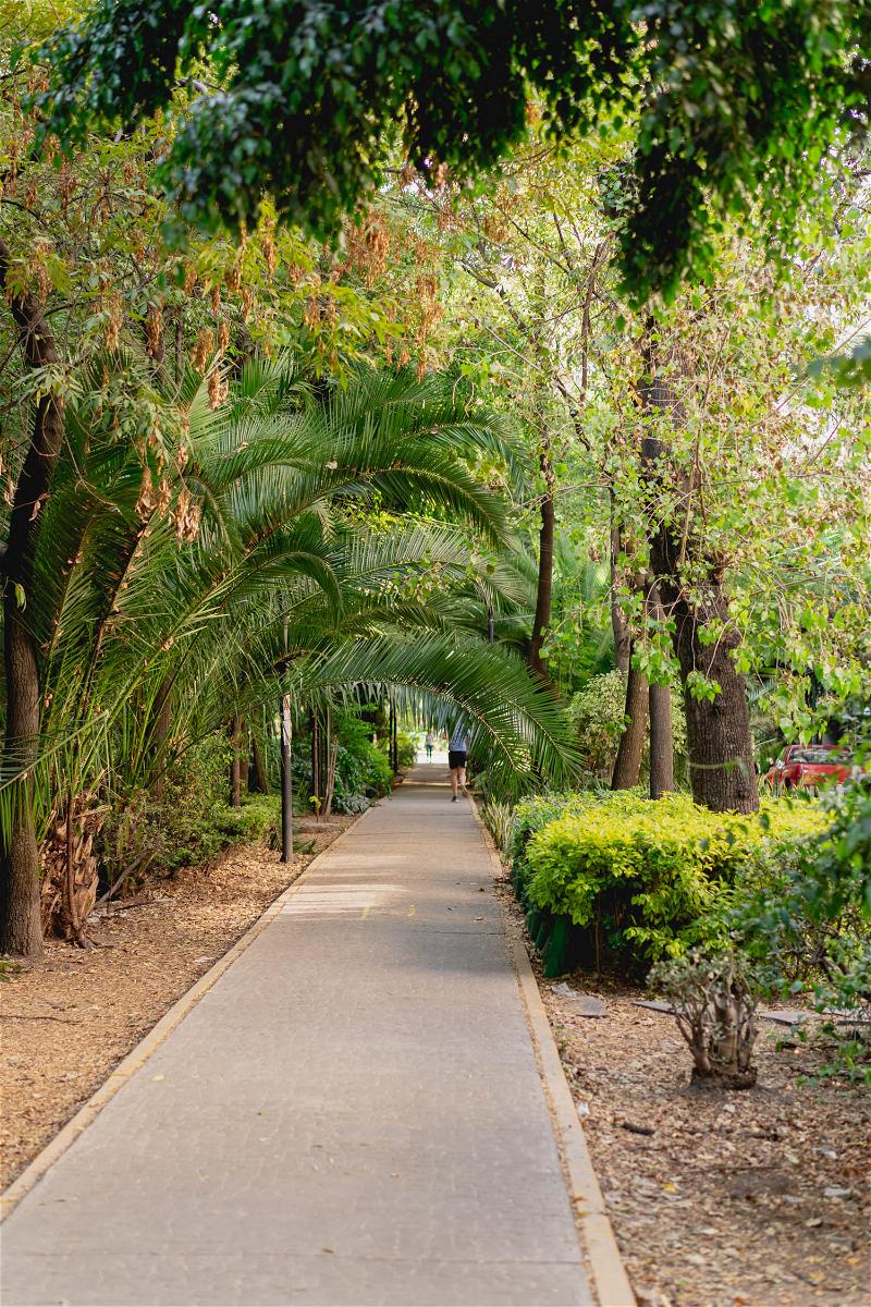 A walkway in Mexico City's park.
