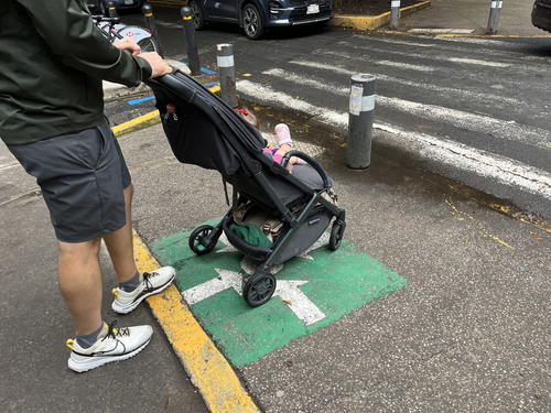 mimosa city travel stroller