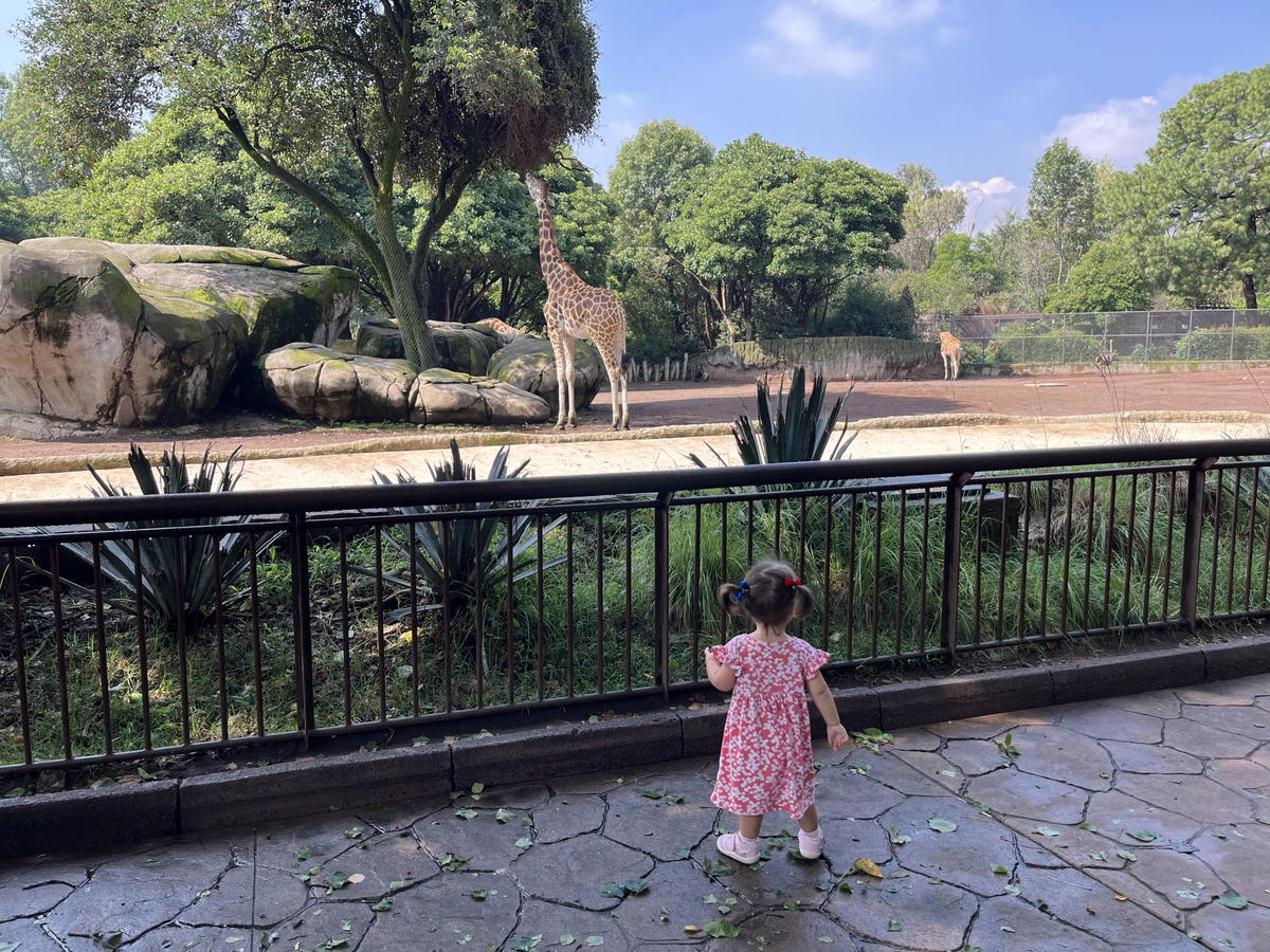 Mexico City with a Baby, Toddler or Kids: Travel Tips for Your Trip