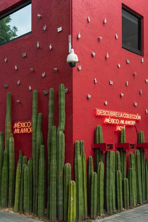 A red building in Mexico City with cactus plants in front of it.