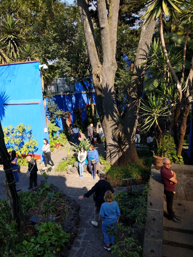 A group of people in a garden in Mexico City.