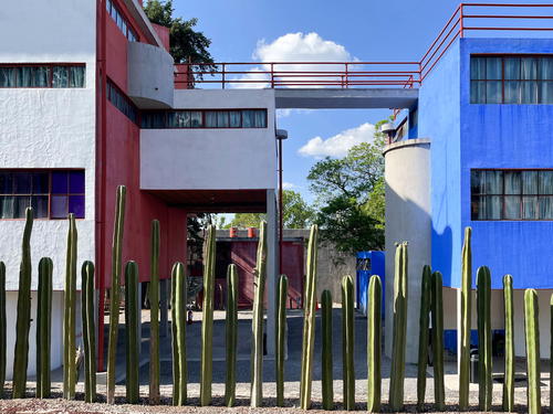 A blue and white building adorned with cactus plants in bustling Mexico City.