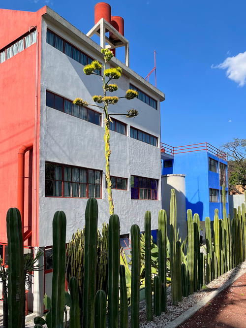 A vibrant building in Mexico City adorned with cactus plants.
