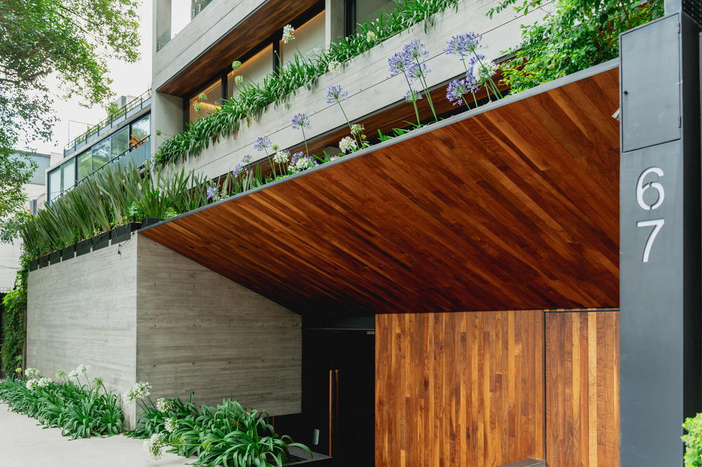 a house with plants growing on the side of the house