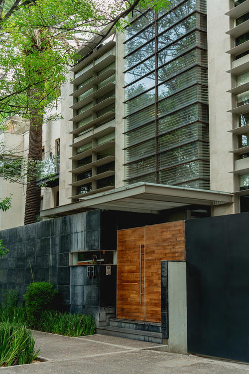 a tall tree in front of a building