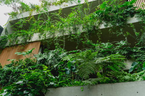 a building with lots of plants growing on the side