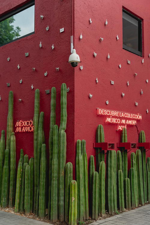 a red building with a bunch of cactus plants in front of it