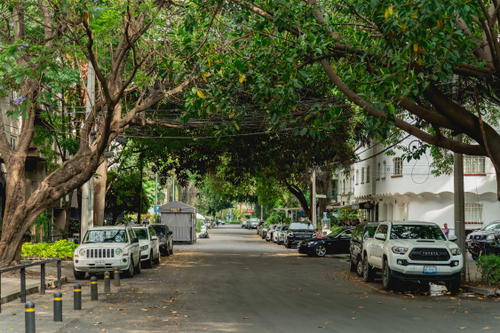 a street lined with parked cars and trees