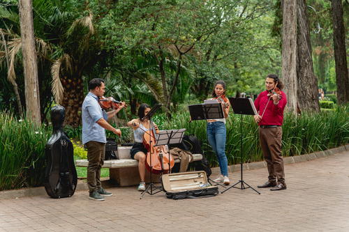 a group of people playing music in a park