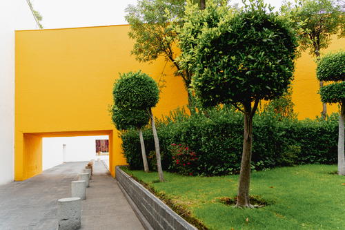 a row of trees in front of a yellow building