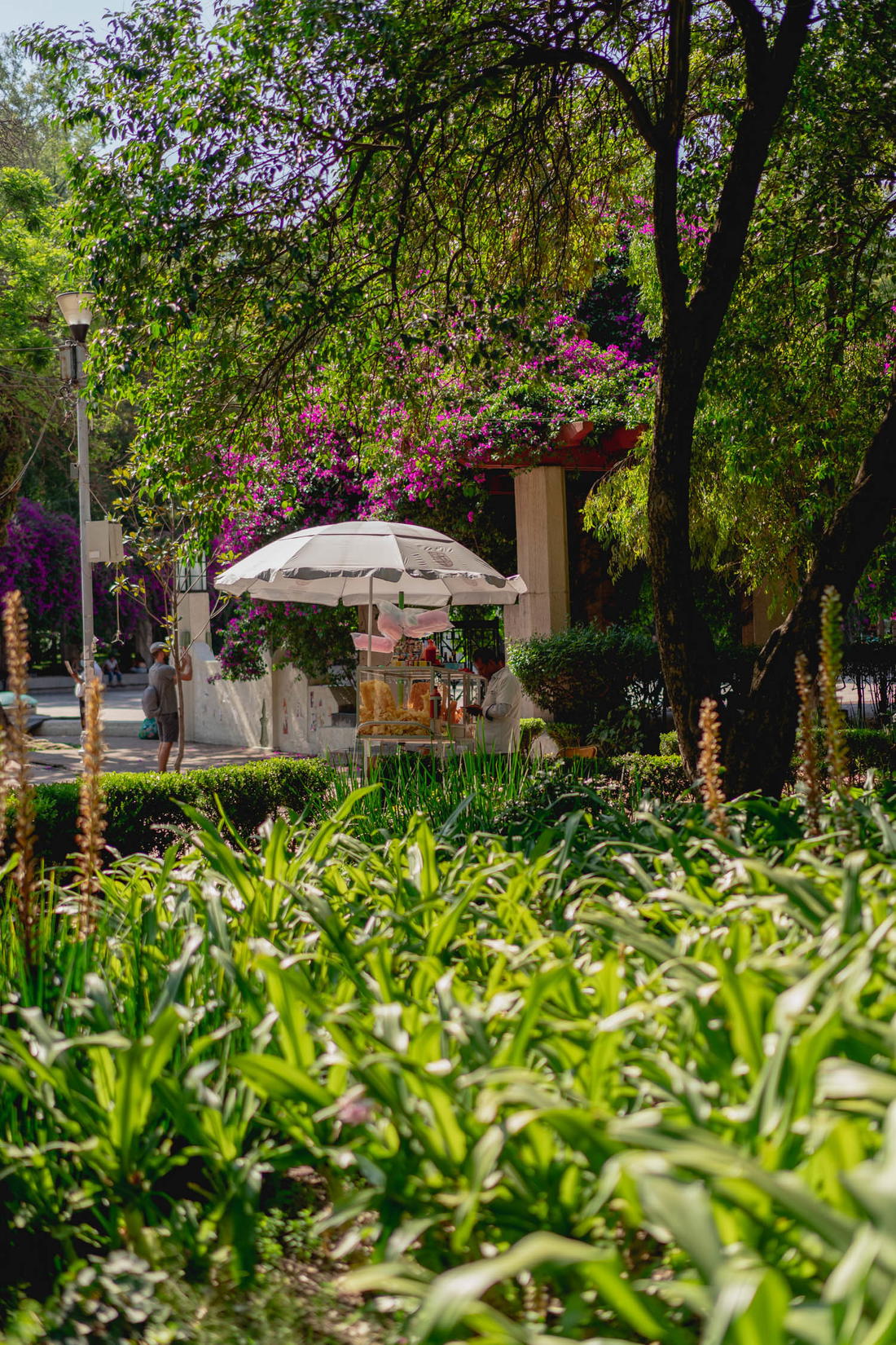 where-to-stay-in-mexico-city-the-best-neighborhoods