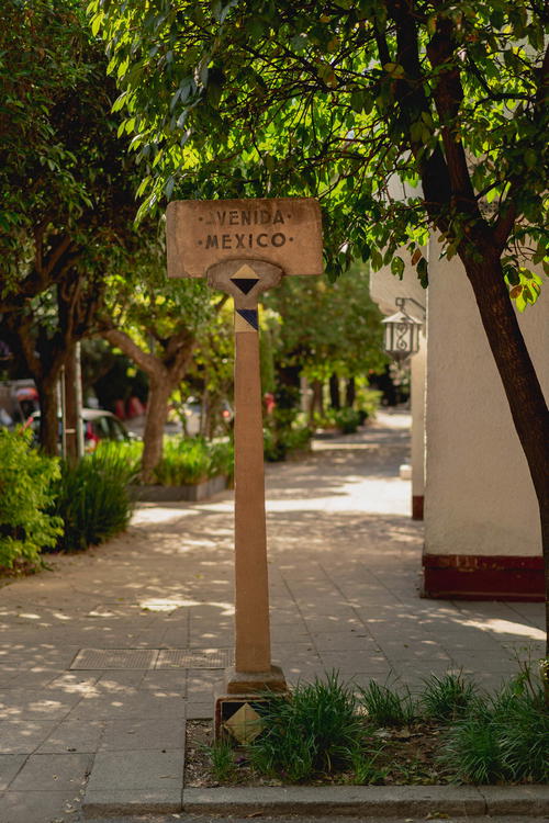 A street sign on a pole next to a tree in Mexico City.