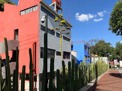 A colorful building with a cactus in front of it located in Mexico City.