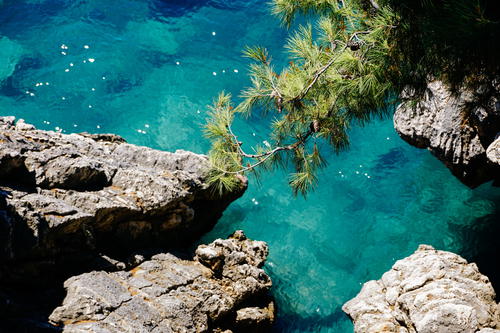 A body of water surrounded by rocks and trees in Budva