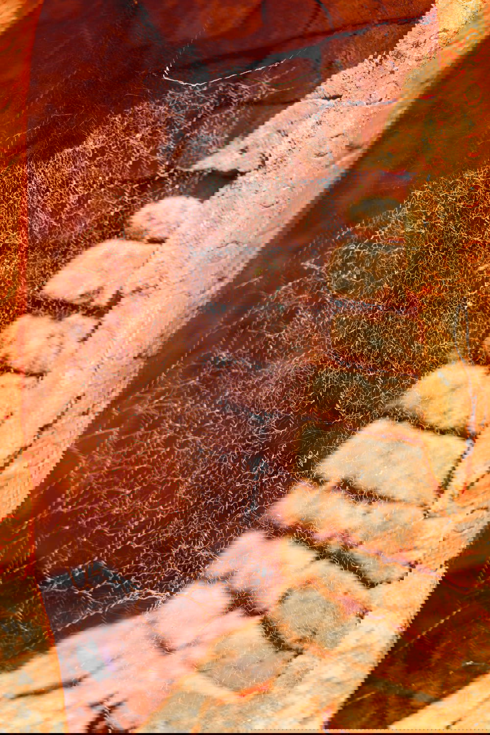 Spider web inside an ancient pagoda in the village of Indein Myanmar