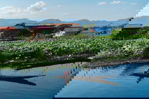 A person in a canoe on Inle Lake in Myanmar (Burma).